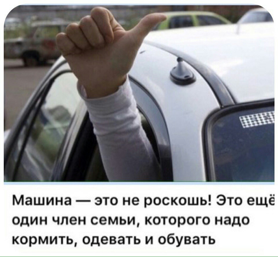 ніштяки 5