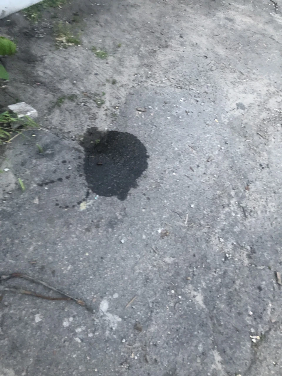 Паливний фільтр