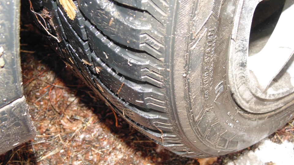 Прикупив гуму на зиму nokian hakkapeliitta 2-205/50/R16 1