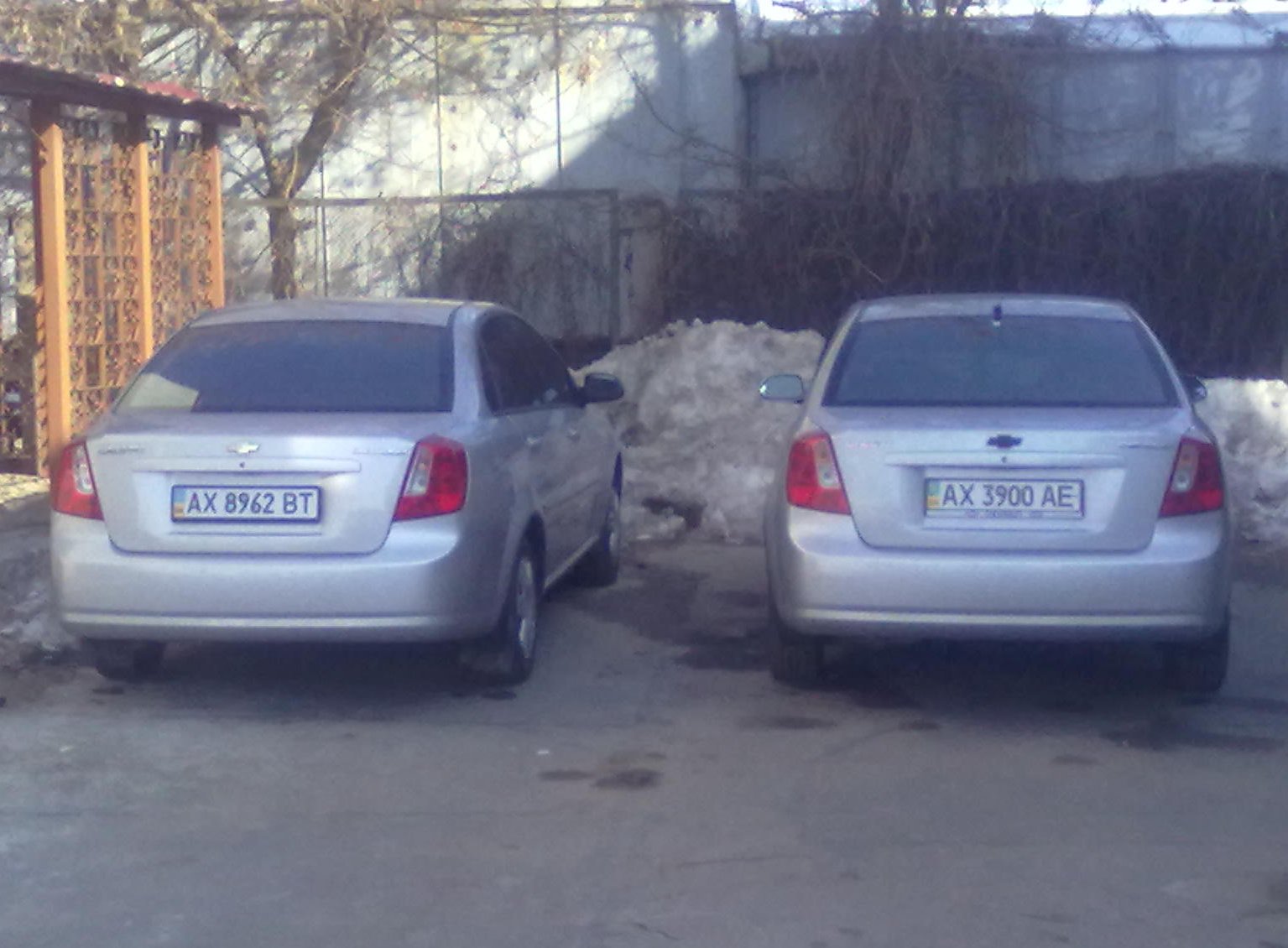 близнюки лачика! 5