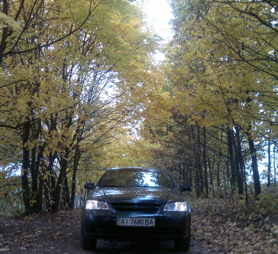 Осінь. 4