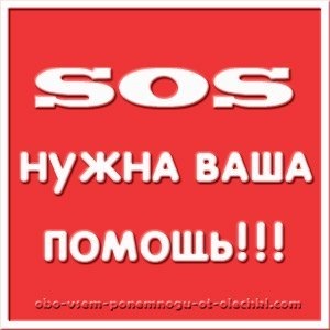Питання по мастила на лачетті 1