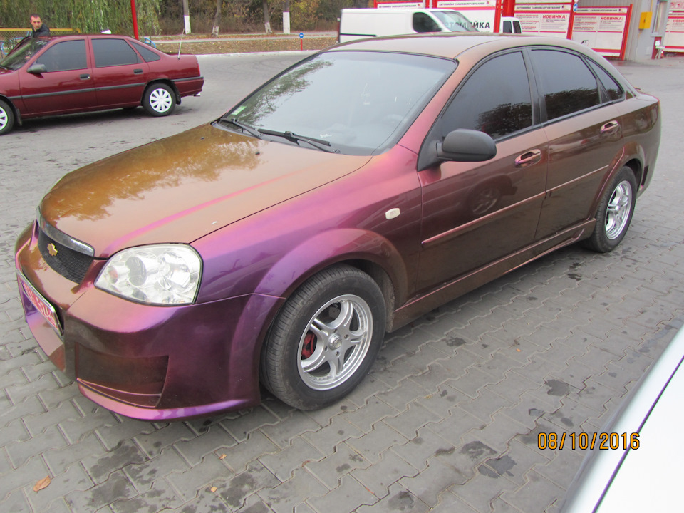 продам лачика 3