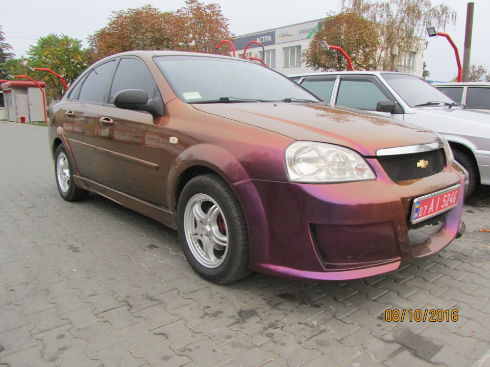 продам лачика 2