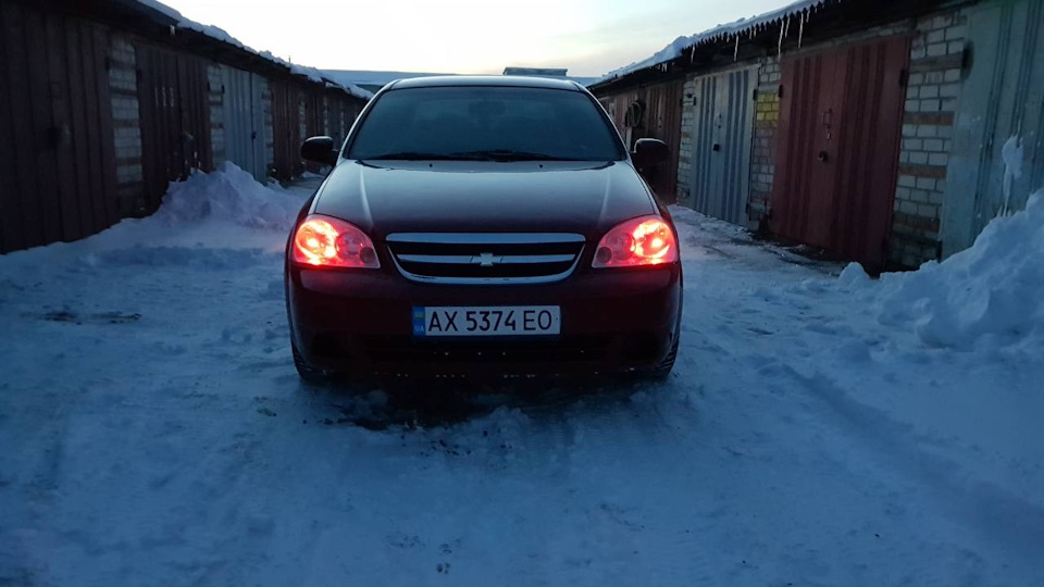 Галогенки та колгосп 2