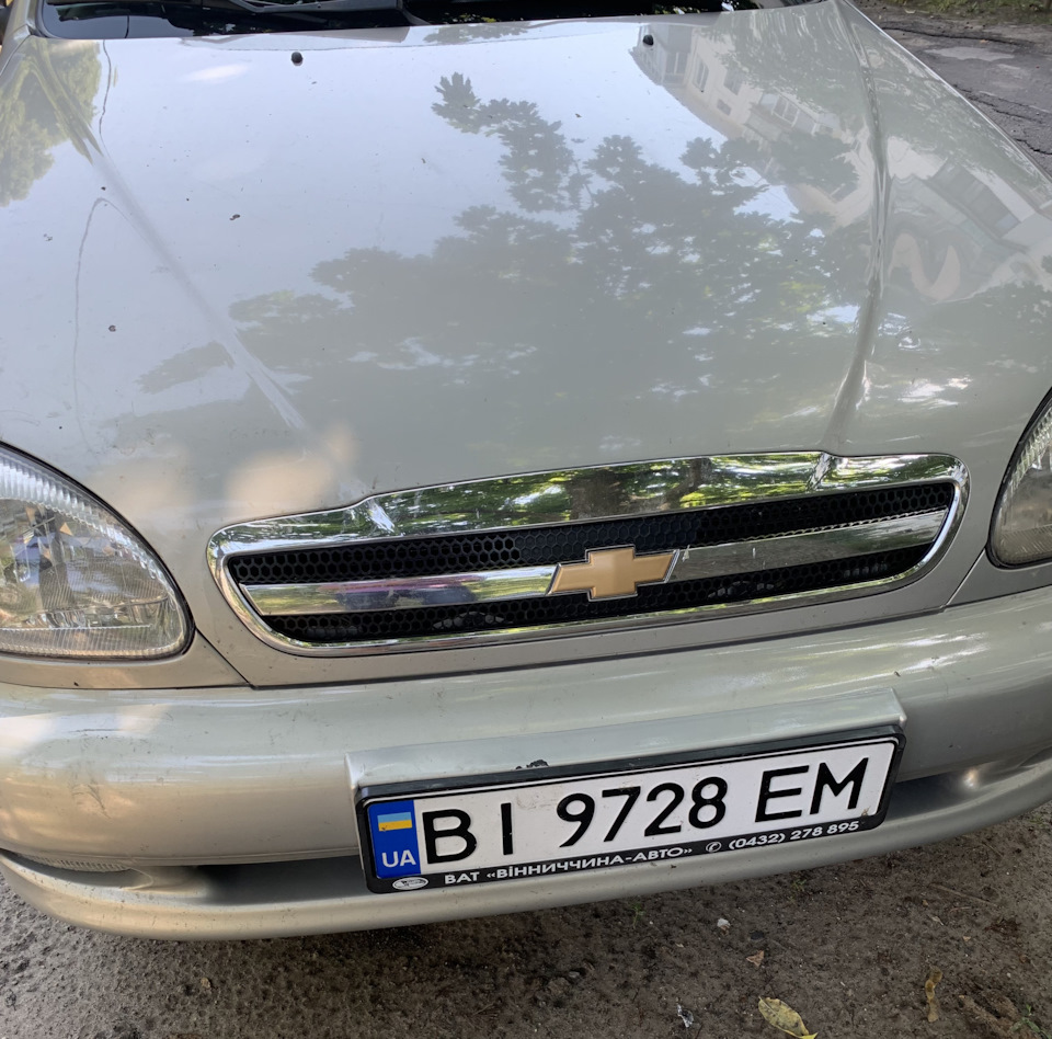 Фарбування емблеми 1