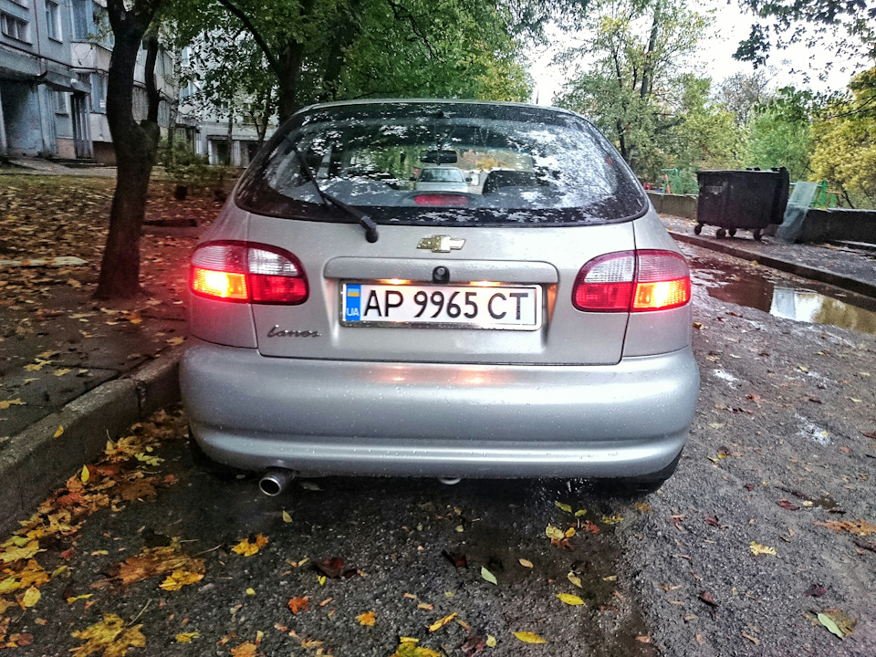 Зниження температури. Підготовка до зими. 2