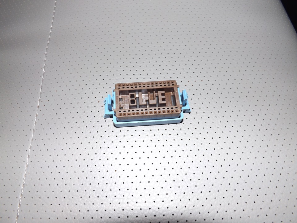 Chip від BamperDima 5