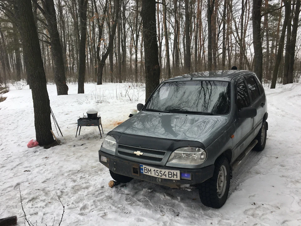 Зустріч весни та початок весняного загострення