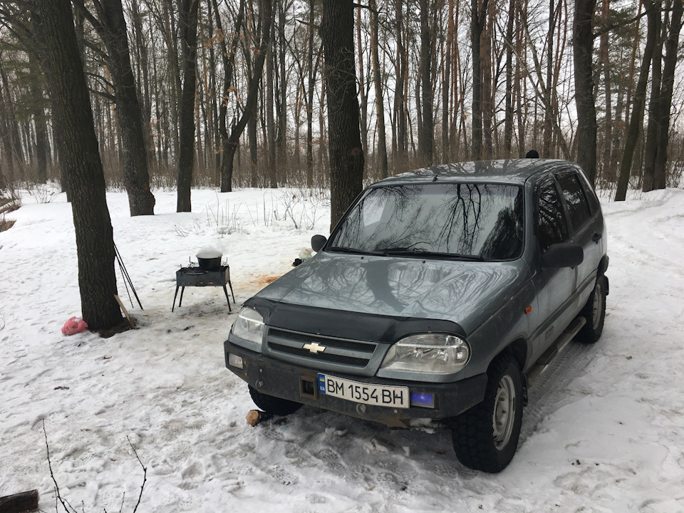 Зустріч весни та початок весняного загострення 1