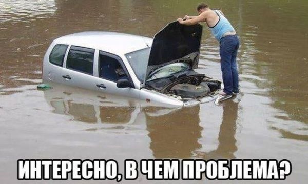 Навіщо потрібен шноркель на Шниві... 1