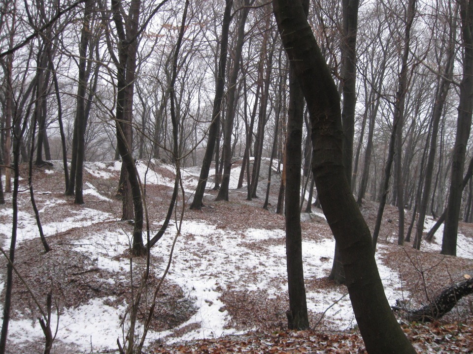 грот Прийму 2013 4