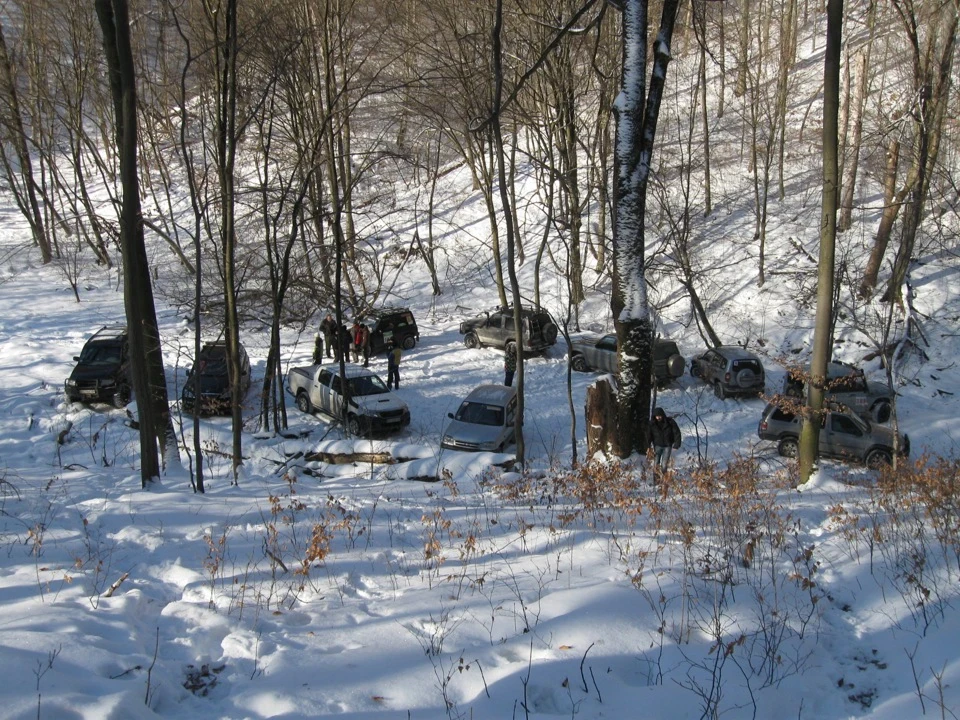 грот Прийму 2013