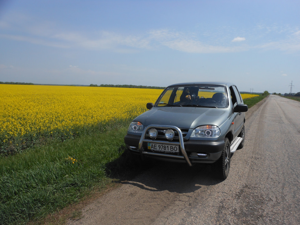 Перші 100 передплатників!)) 1