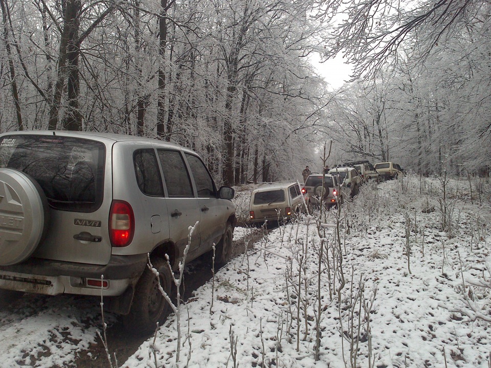 Ось і перший сніг 3