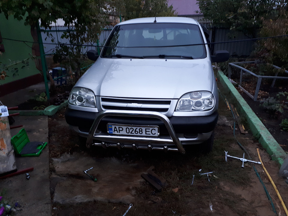 кенгуру 3