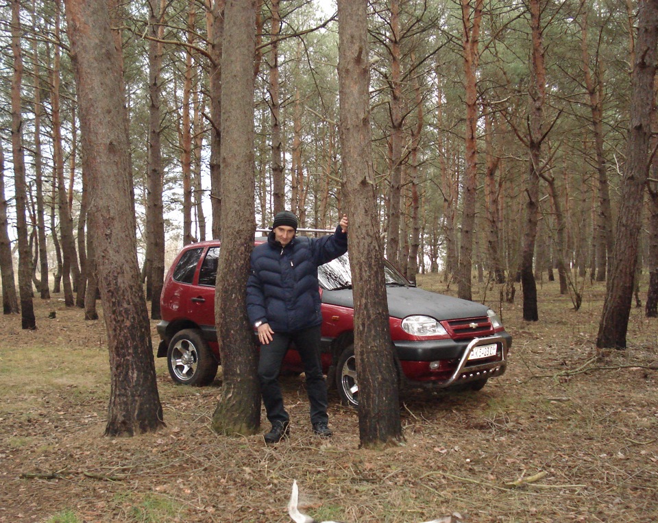 Трохи лісових фоток 1