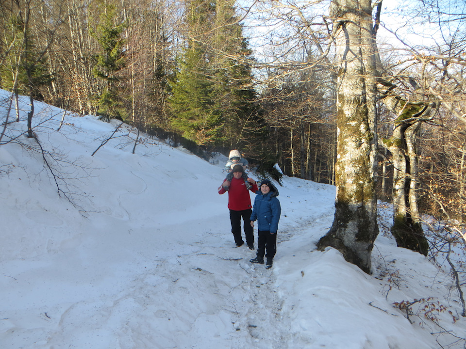 26.01.2020 гора Ягода 4