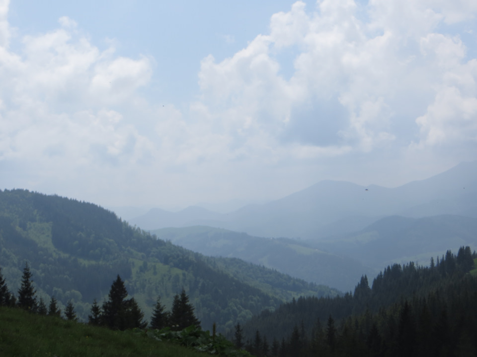 Карпати 09.06.2019 2