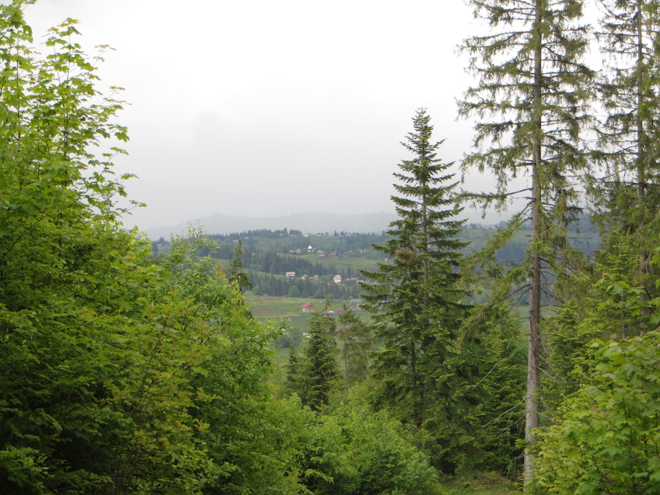Полонина Кукул 5