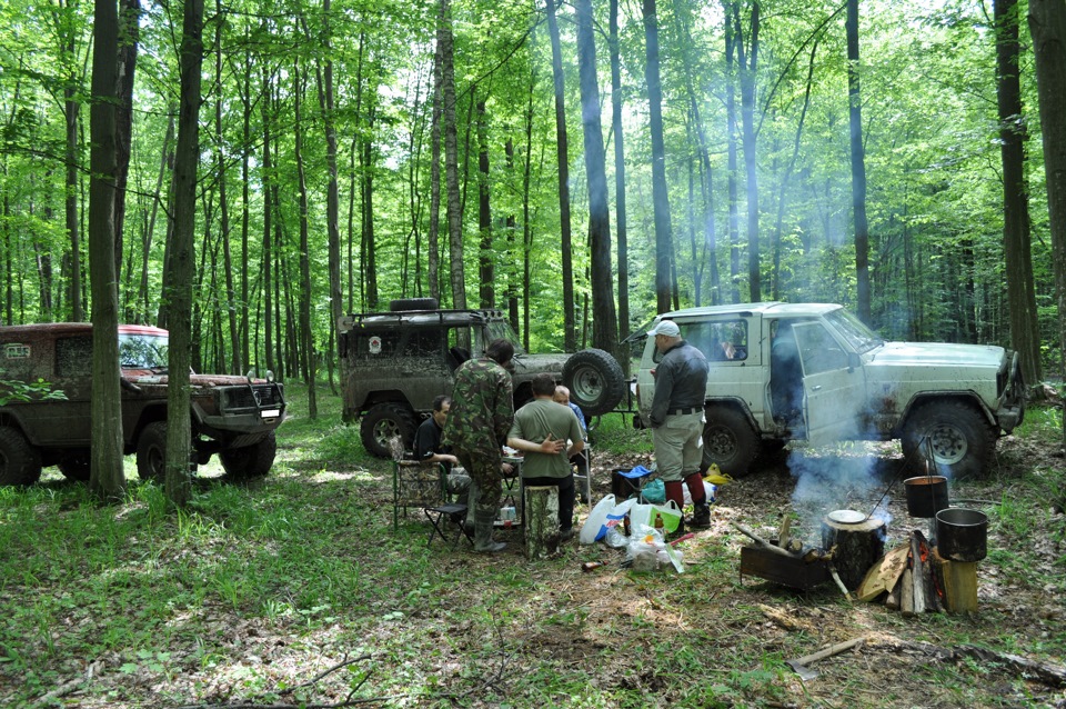 Покотушка вихідного дня. 3