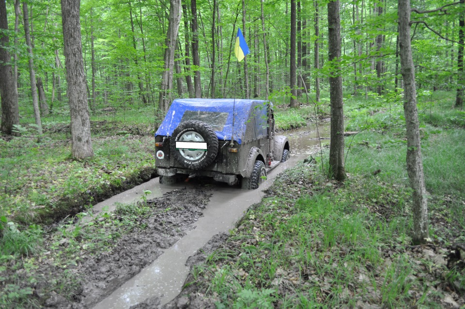 Покотушка вихідного дня. 4