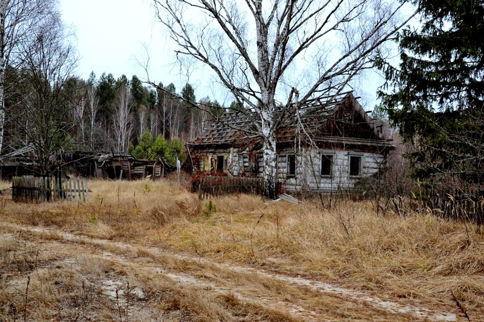 Ябро-трофі - 2014 5
