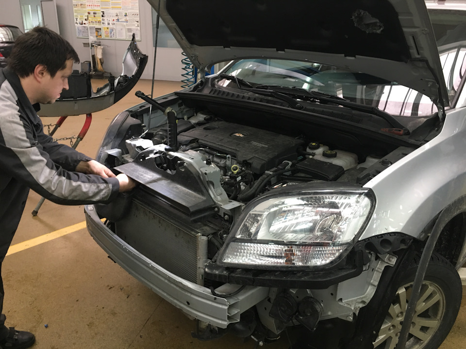 Несподівана проблема або стережіться гризунів 2
