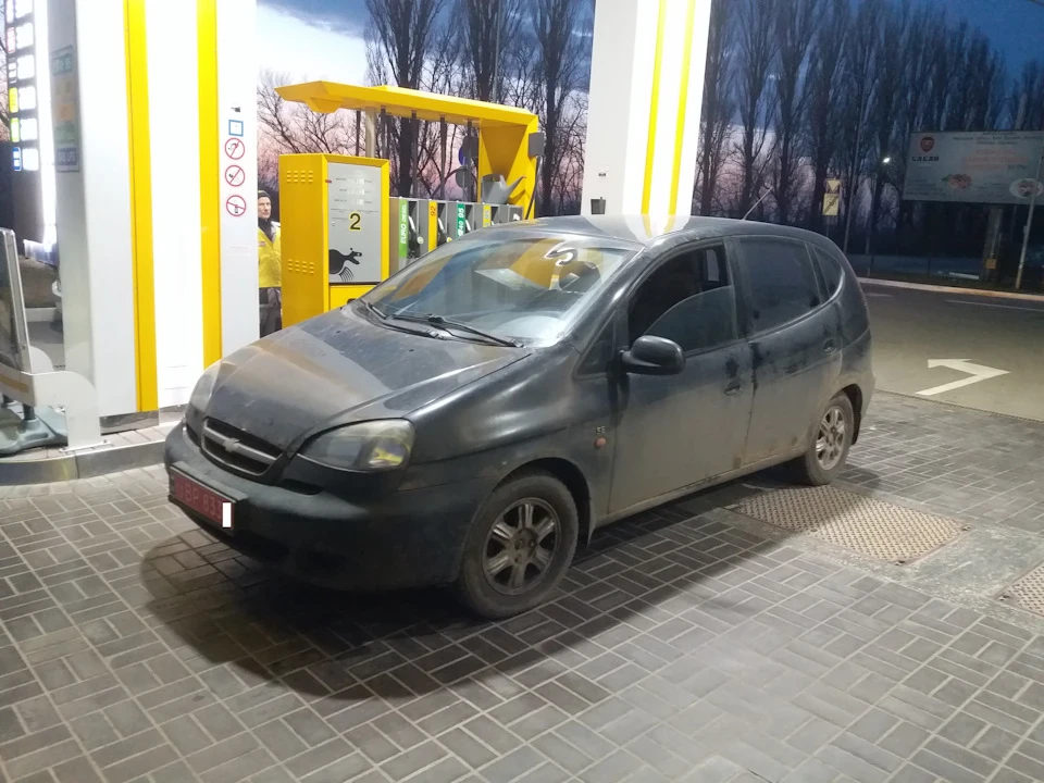 Купив Рижика :)