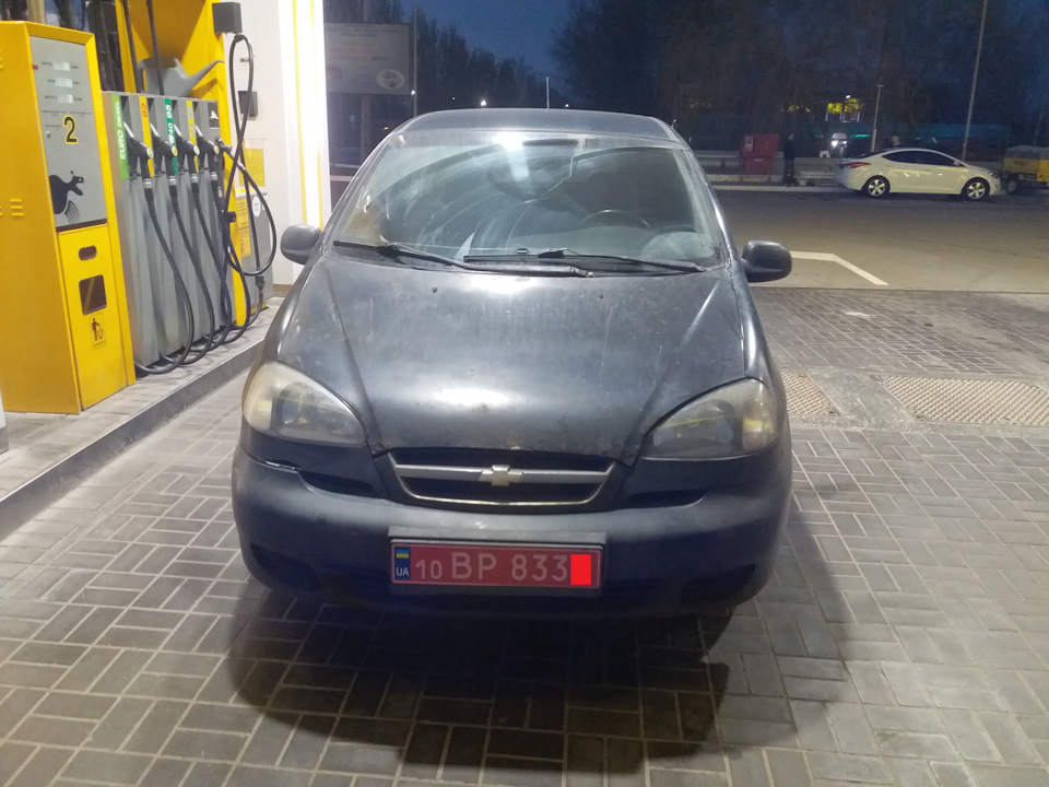 Купив Рижика :) 3