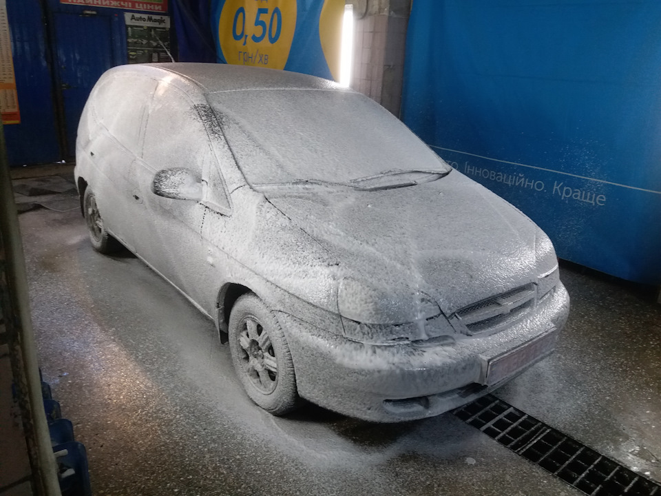 Перше миття в житті Рижика 3