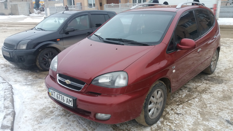 Покупка Вишеньки 1