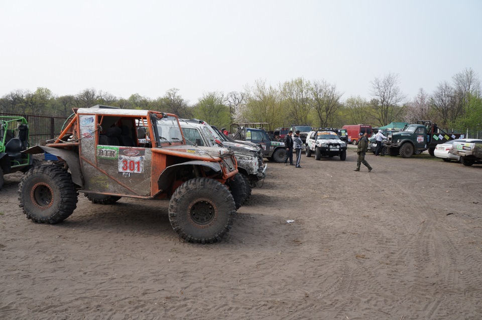 Самарські нетрі 2013 2