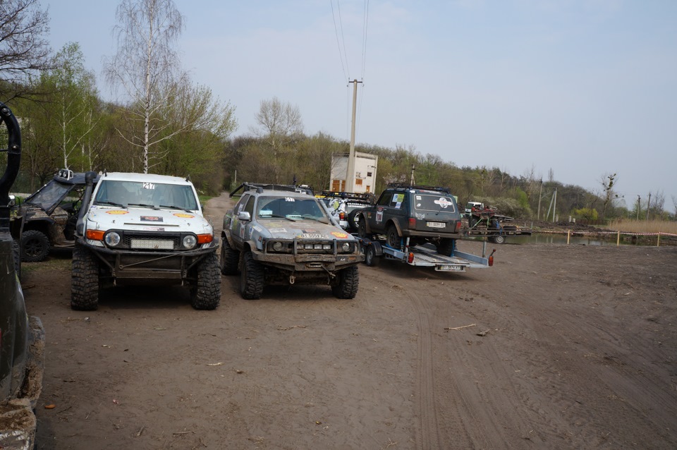 Самарські нетрі 2013 3