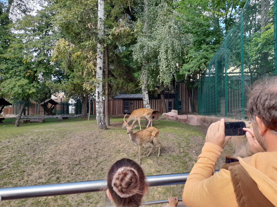 Харківський зоопарк 4