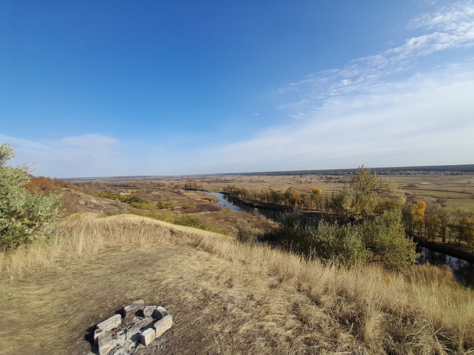 Зміївські кручі, хвойний ліс, гриби 4