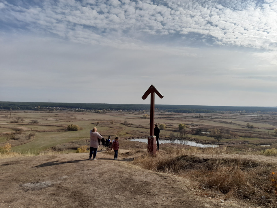 Зміївські кручі, хвойний ліс, гриби 2