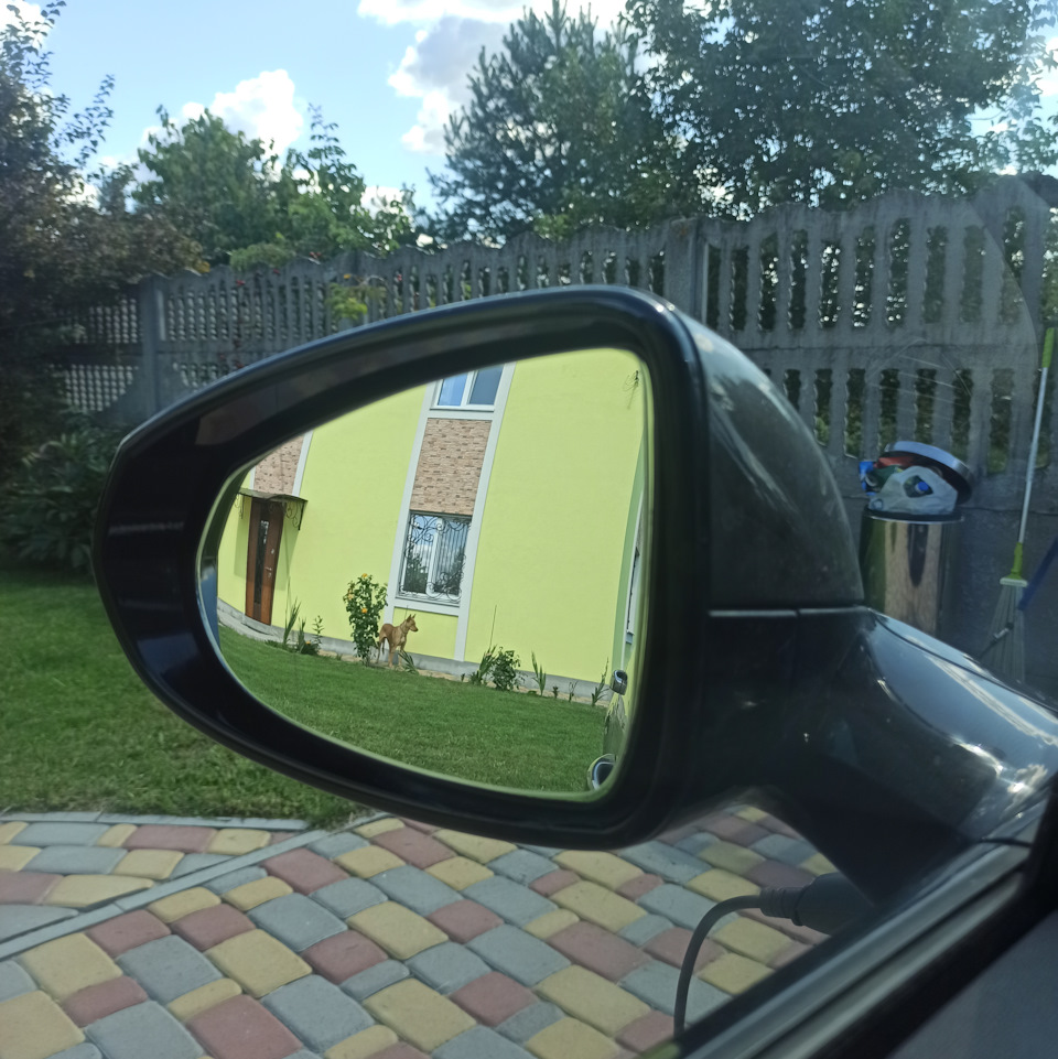 Дзеркало водія 1