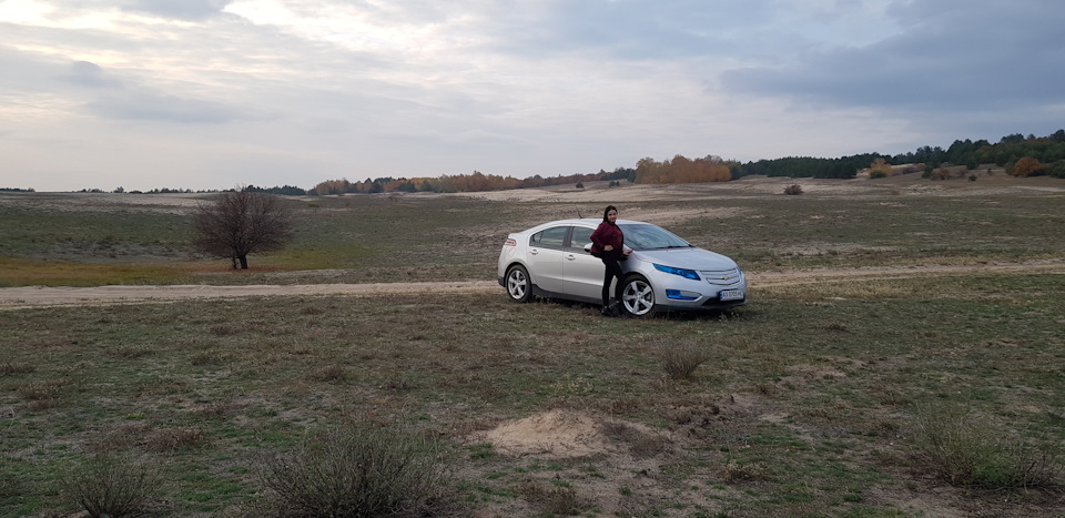 Volt позує на камеру 5