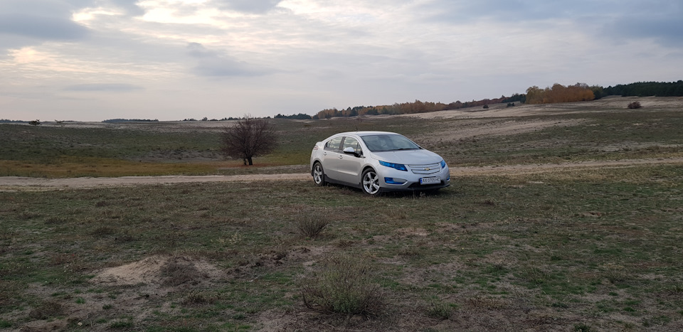 Volt позує на камеру 3