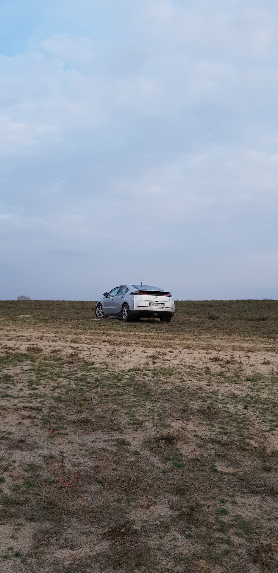 Volt позує на камеру 2
