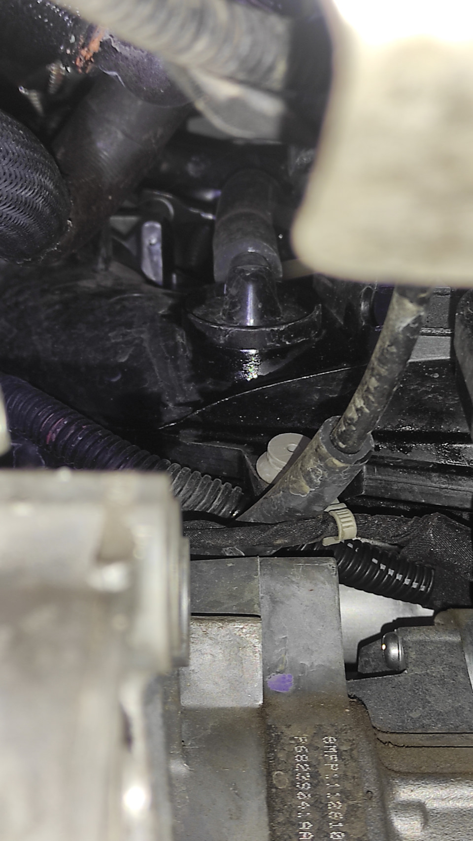 Клапан картерних газів (Нежданчик) 3