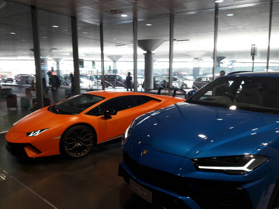 Зустріч із витонченими монстрами. Lamborghini. 3