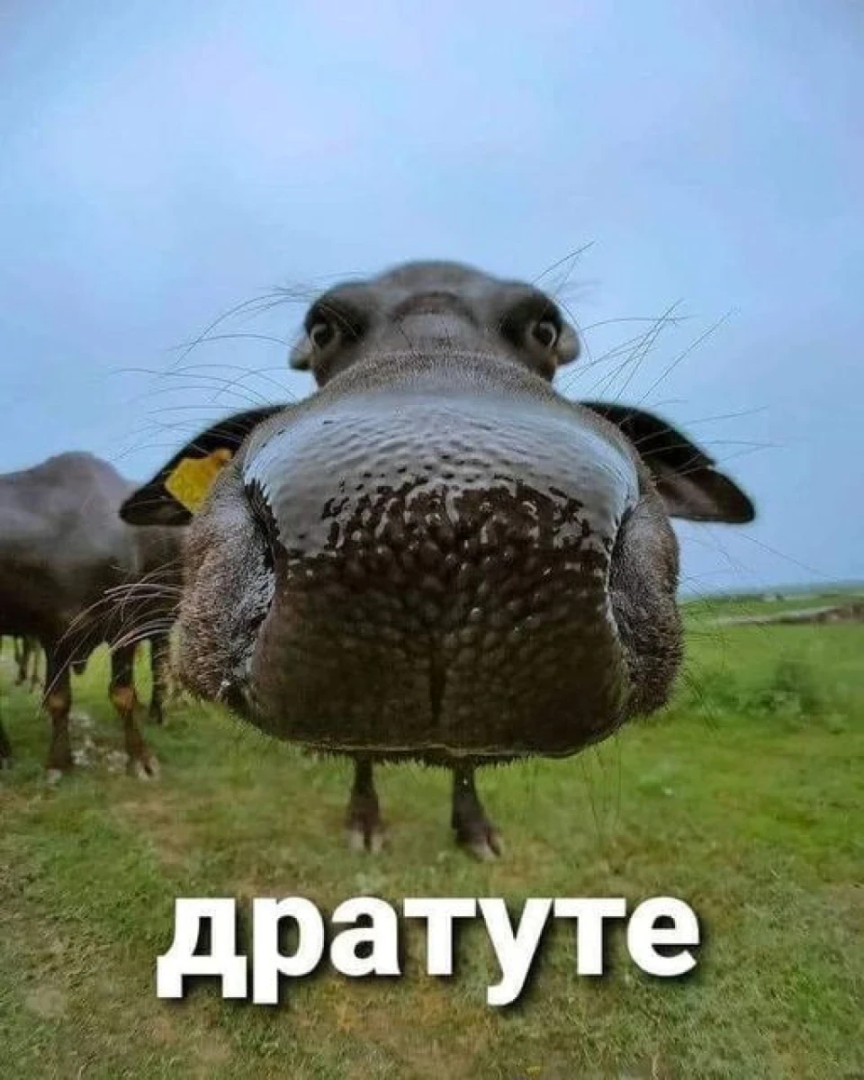 Власними грошима)