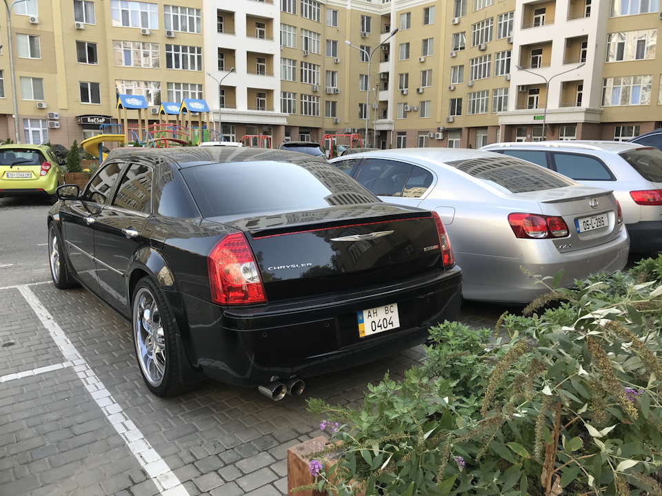Новий молодший брат . 3