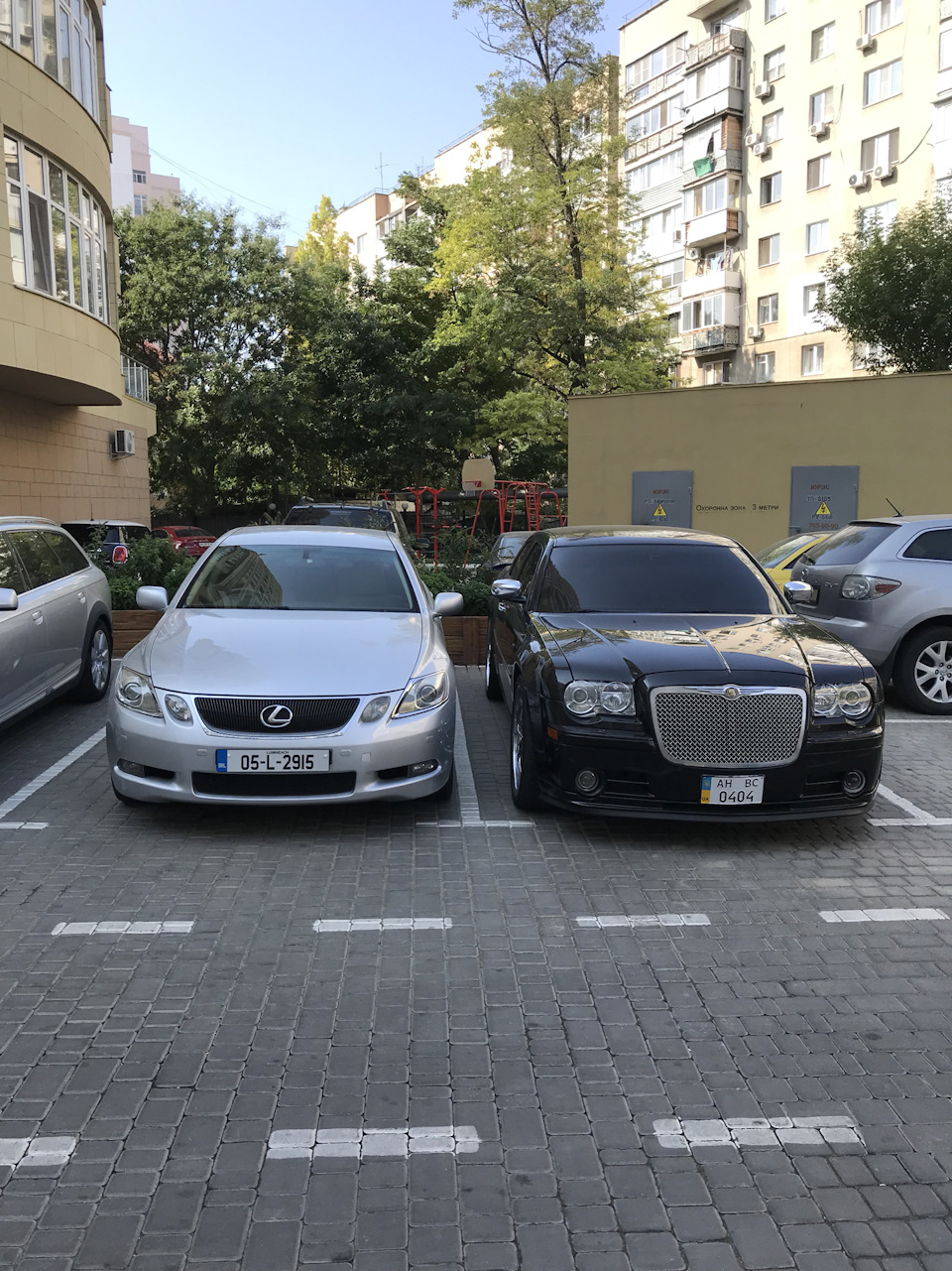 Новий молодший брат . 1