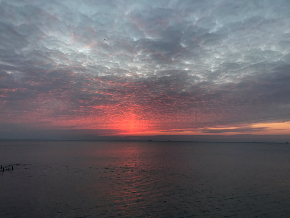 Світанок 🌅 22.04.2017 5