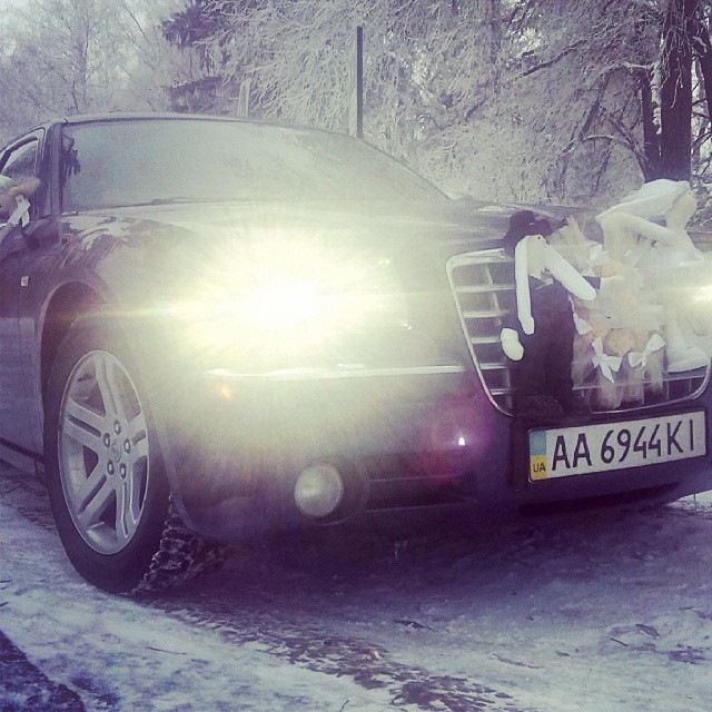 зимові зайці 2