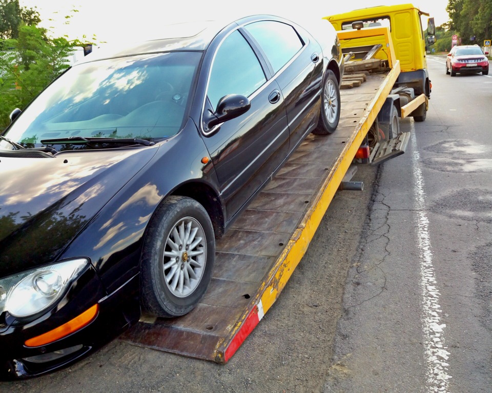 Крик душі ... 2000 $ коту під хвіст 1