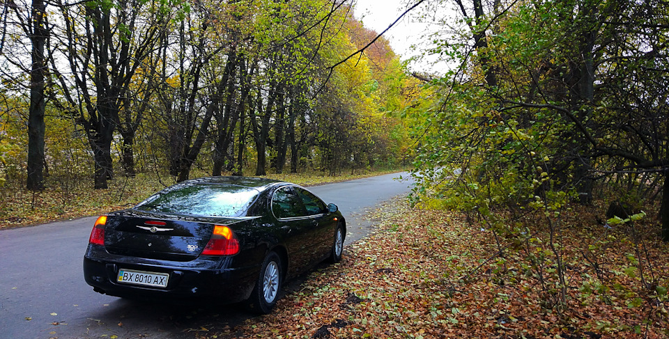 Настрій осінь 🍁🍃🍂 5